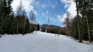 Wyjście do sedmistovku, jodła