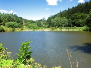 Through the landscape of ponds, or Quite a short bike ride